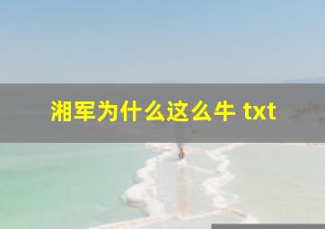 湘军为什么这么牛 txt